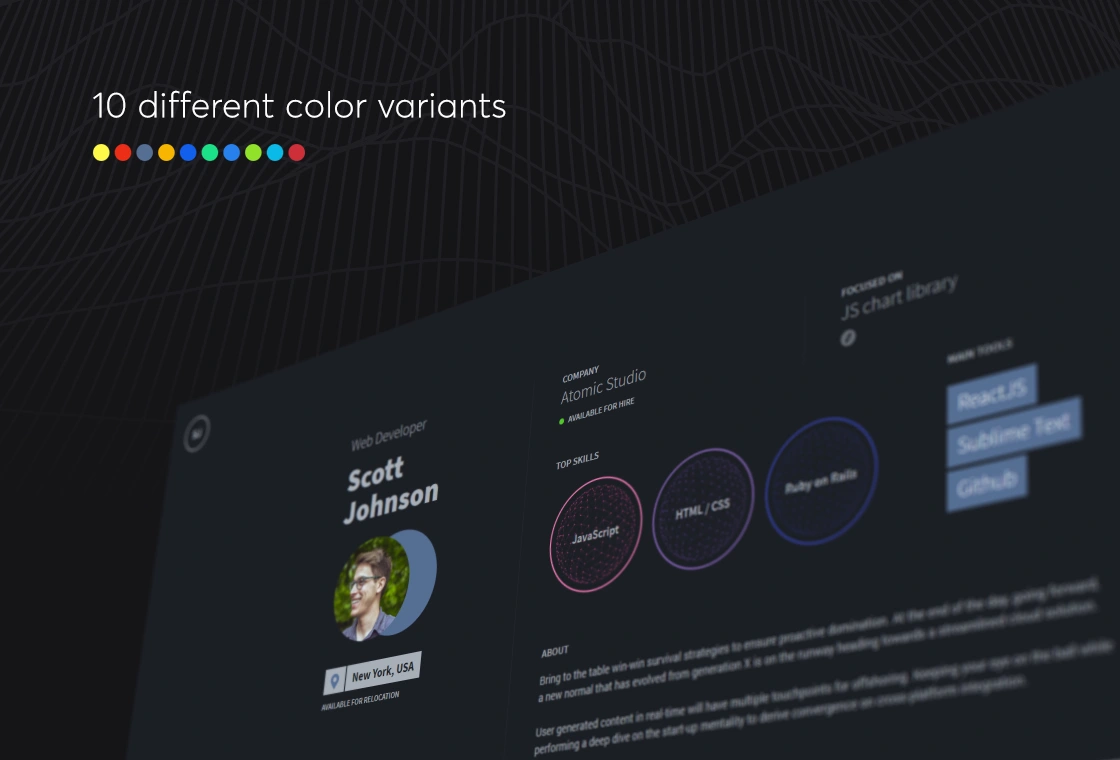 intro. developer portfolio theme